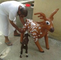 Мать у них был Новосельцев..