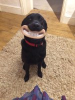 Фотоподборка за 25.03.2015