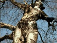 Конечно не верится, потому что это неправда.