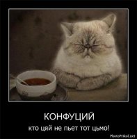 Какой чай пьют в разных странах мира