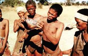 напомнило фильм "Наверное, боги сошли с ума"....