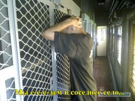 Обидчик бездомного по кличке "Компот"