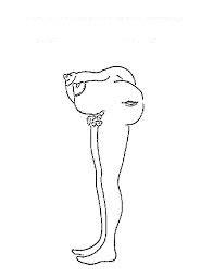 Забавные неудачные панорамные снимки