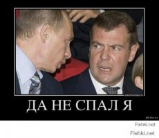 Лучшие интернет-мемы 2014 года 