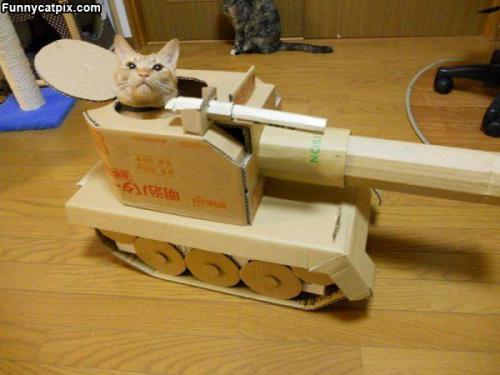 "World of tanks" глазами женщины