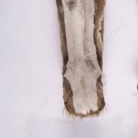 Земляк, вот что такое кисЫ, а то, что на фото это вообще не национальная обувь ни хантов, ни ненцев, ни якутов. Я думаю, что это изобретение для русских с твердой подошвой. Не было твердой резины у якутов делать такую обувь.  Я купил себе кисЫ для охоты, обалденная вещь. На мой вопрос у ненца что это такое с твердой подошвой он из называл то унтами то просто сапогами, но кисЫ это совсем другое. (ЯНАО)