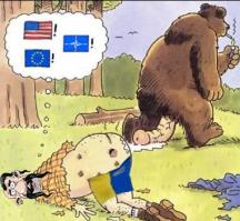  Медведи на все случаи жизни