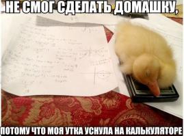 Смешные картинки с подписями