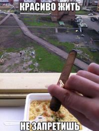 Смешные картинки с подписями