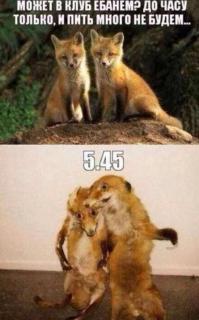 Смешные картинки с подписями