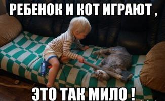 Смешные картинки с подписями