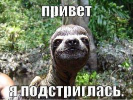 Картинки со смешными подписями