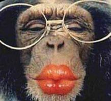 из серии девушка за рулем себя фоткает