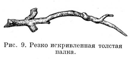 А вот эта херня говорят сделала из обезьяны человека