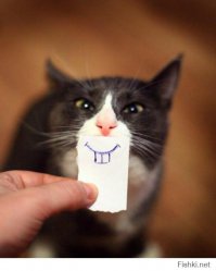 Как пес отплатил своему хозяину за спасение