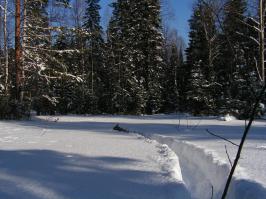 А у нас вот  такие собачьи радости