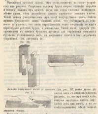 Давно известная в России приблуда.