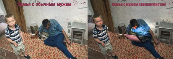 Жизнь программиста