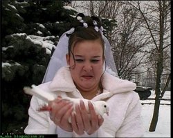 Конкурсы и другие ужасы беспощадной русской свадьбы