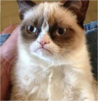 ???????? Zabyli glavnova :)