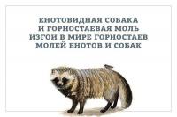 Смешные комментарии из социальныхсетей 08.08.14 