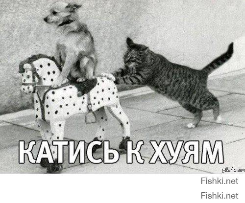 тебя-то кто из дурки выпустил, чучело...