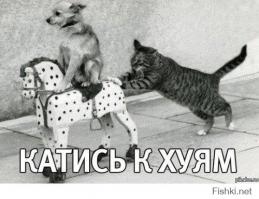 с какого перепугу ты, ущербный инвалид, вообразил, что у тебя есть право давать какие-то команды? ты вообще кто?