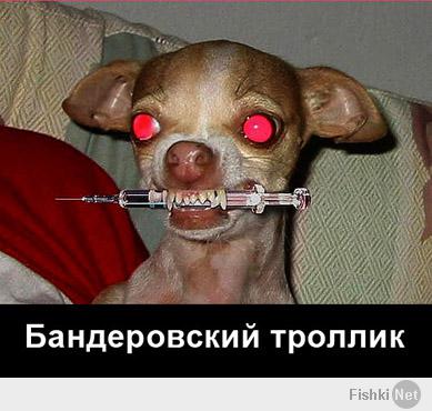  «Белому дому нужно заткнуться»