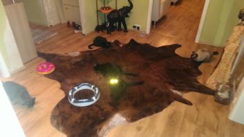 Они следят за нами.