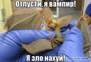 Вампиры в реальной жизни