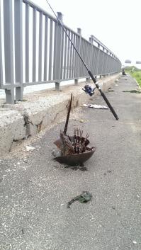 На днях попался такой.Честно,побоялся руками брать--с помощью щипцов снял с клешни крючок и аккуратно палочками отпустил обратно...