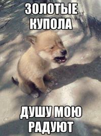 повторюсь. но!