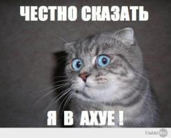 А где Джони Кетсвил?, А Кошка с лампой из офигительных историй, а кошка в @xuе???