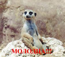 Татарская суперпила