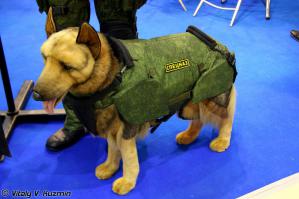 Хорошо что хоть им бронежилеты стали делать