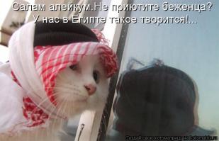 она же без паранджи тек что иди вешай лапшу другому