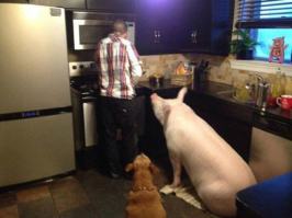 а потом будет вот так)))))