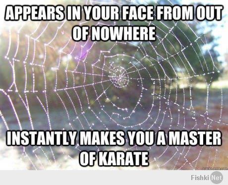 Осторожно пауки и скорпионы!
