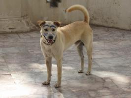 Сфотографировала в Таиланде