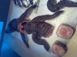 в одном из ресторанов