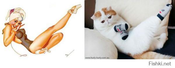 Очаровательные коты, воссоздающие фотографии моделей