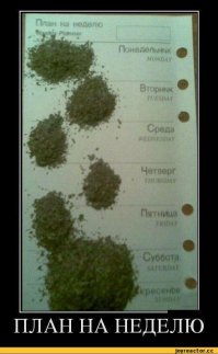 Параграф 47. План сотворения: