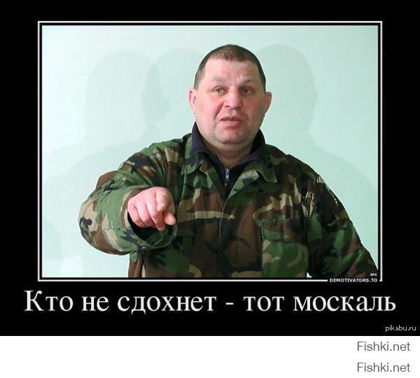 Это тебе "самые правдивые в мире укроси" рассказали7 Или на цензоре очередной высер прочитал, до.л.бо.еб?
Иди салом удавись, одноклеточный