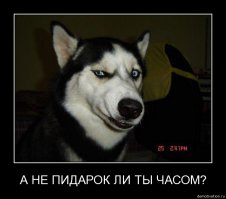 Если бы тебе мозгов хватило прочитать мой пост ты бы заметил (хотя вряд ли) что как раз меня мегафон ни на что не нагревал. Так что, опять очередной раз ты доказал что являешься эпическим д.о.л.б.о.е.б.ом 

И поверь, не у всех есть такие штаны как у тебя, пи.до.рок. А нормальным людям, таким как я, они вообще не нужны. 
А вот с тобой все понятно