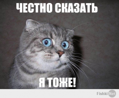 Дедушкино наследство 