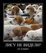 На тему рыжих и хитрожопых.