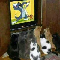 Болеем за наших