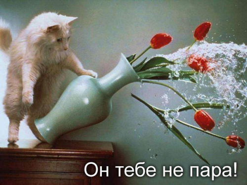 "Солянка" от 05.01.2014