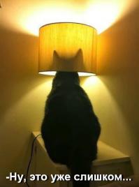 Как мне сдачу в автобусе выдали