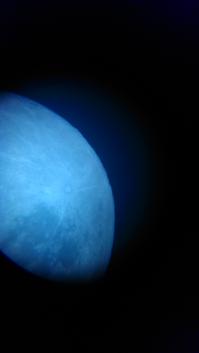 Просто гений :)
Я так луну в телескоп поймал :)